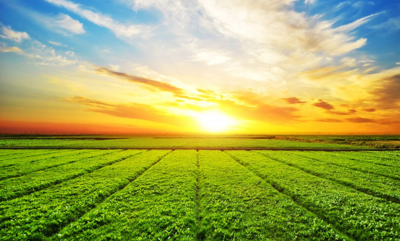 Las leyes detrás de la construcción en tierras de cultivo