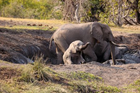 Zoo's auf Zypern