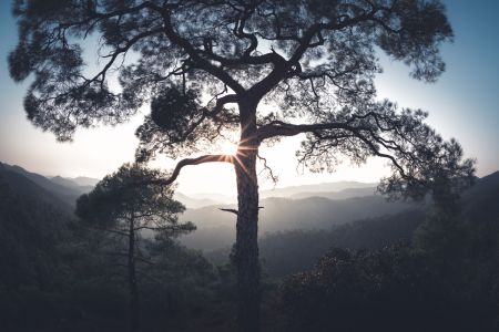 Troodos 山区活动